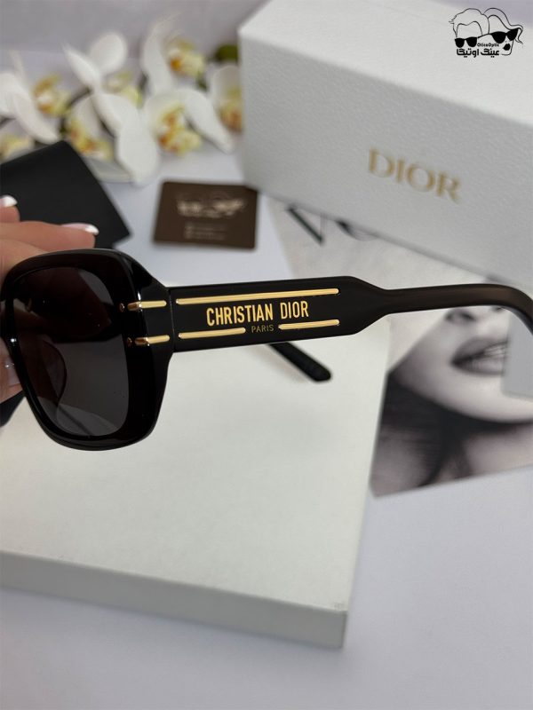 عینک کریستین دیور مدل SIGNORURE ST2F